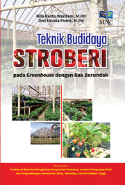 Teknik Budidaya Stroberi Pada Greenhouse Dengan Rak Berundak